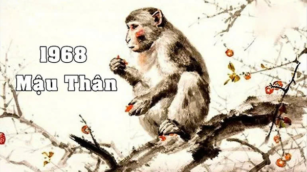 Tuổi Mậu Thân Đặt Két Sắt Hướng Nào? Bí Quyết Phong Thủy Mang Tài Lộc
