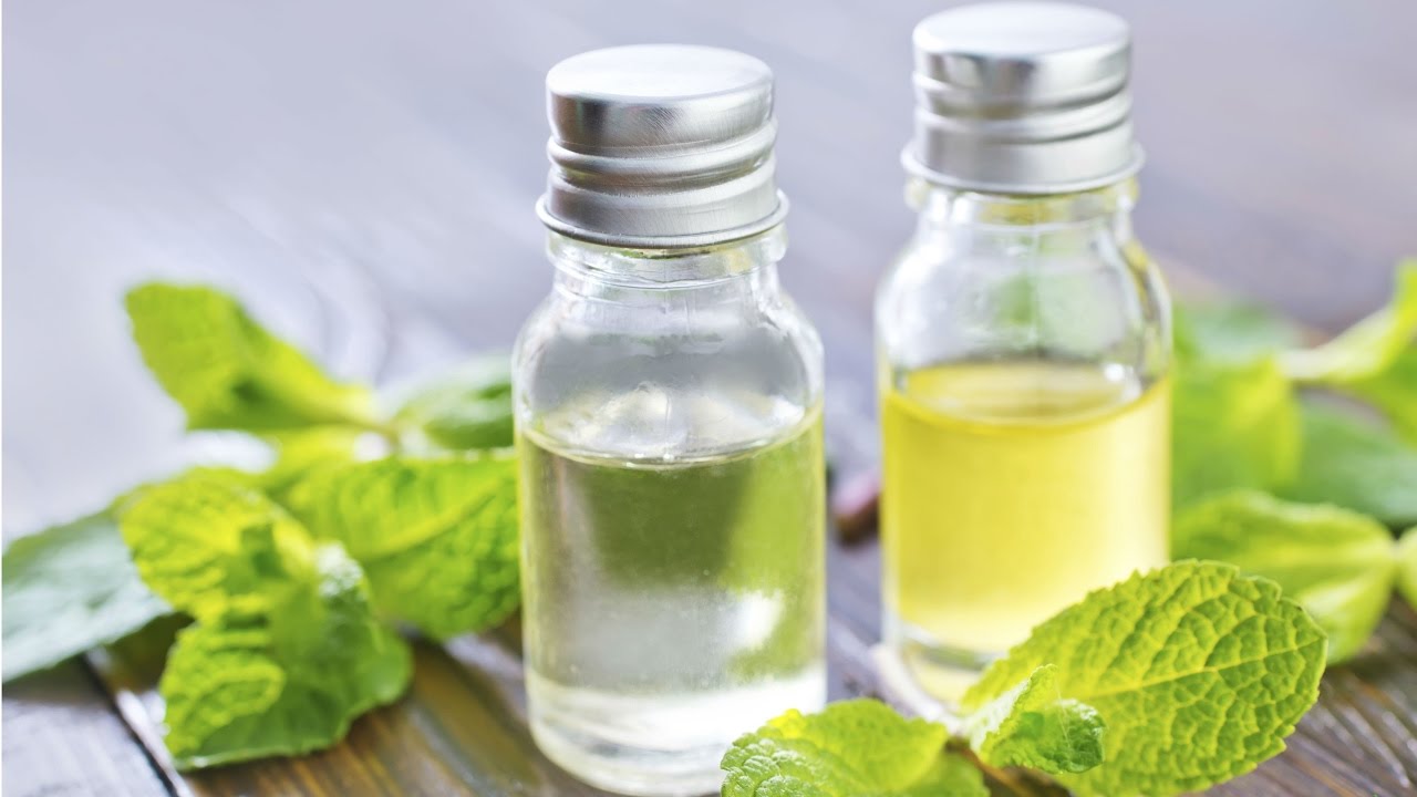 Mẹo vặt chữa côn trùng cắn đốt - Mẹo vặt chữa bệnh phổ biến