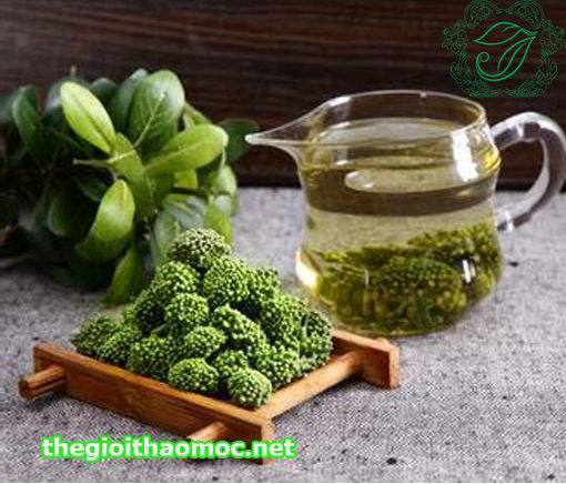 Trà hoa tam thất thảo mộc có tác dụng an thần