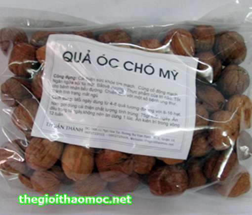 Quả Óc chó Mỹ