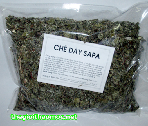 chè dây sapa