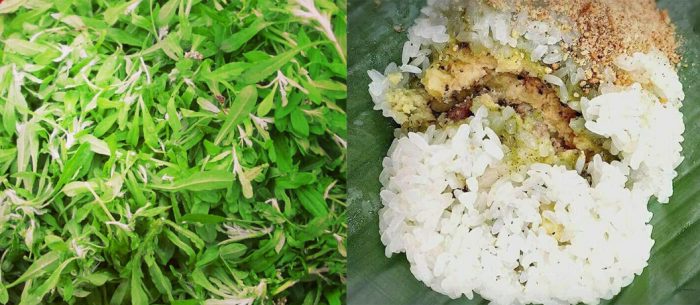 Rau khúc có thể sử dụng để chế biến món ăn