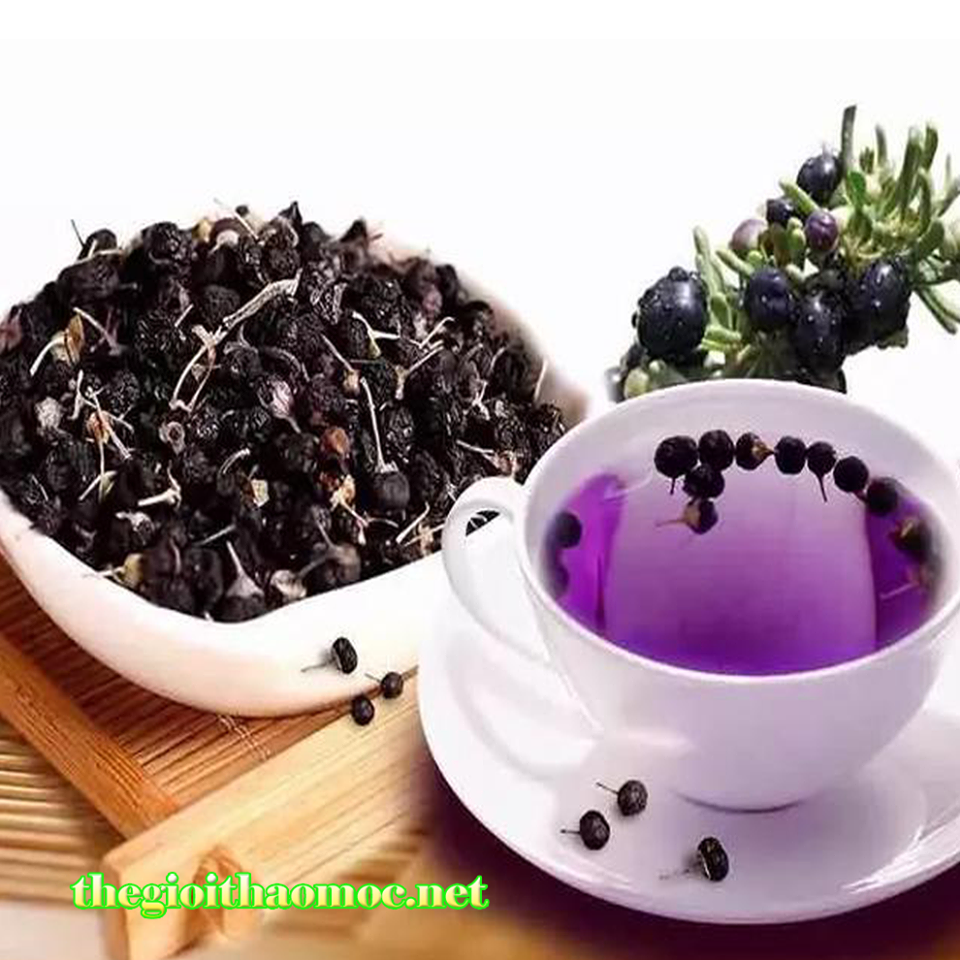 tác dụng của hắc kỷ tử