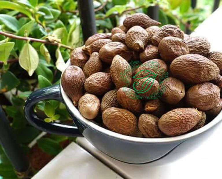 Hạt đười ươi chữa bệnh gì?