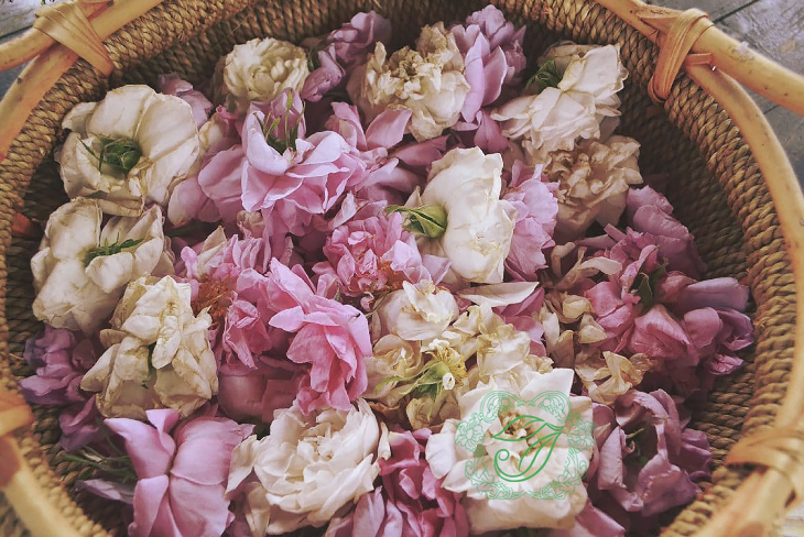 Rose essential giảm stress