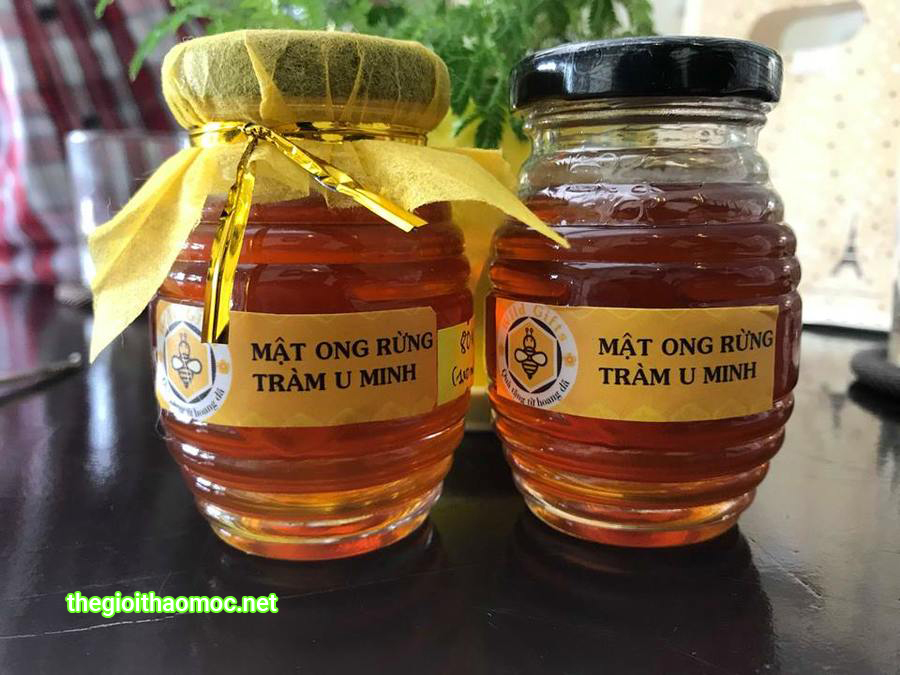 Mật Ong rừng U Minh.