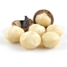 Quả Macadamia