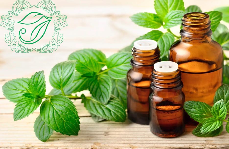 Tinh dầu bạc hà, tinh dầu đuổi côn trùng