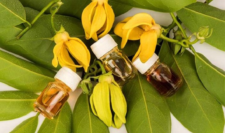 tinh dầu ngọc lan tây