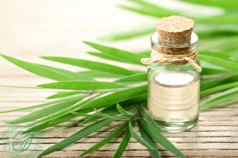 Tinh dầu tràm, tinh dầu đuổi côn trùng