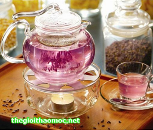 Trà Lavender - trà hoa oải hương.