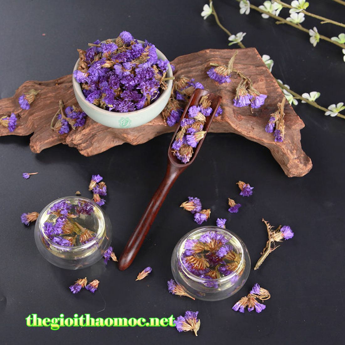 Trà Hoa Forget me not