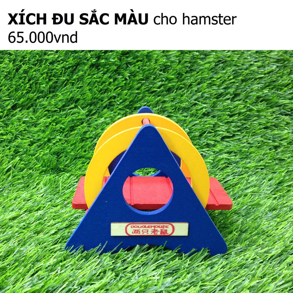 Những vật dụng cần thiết khi nuôi một bé Hamster