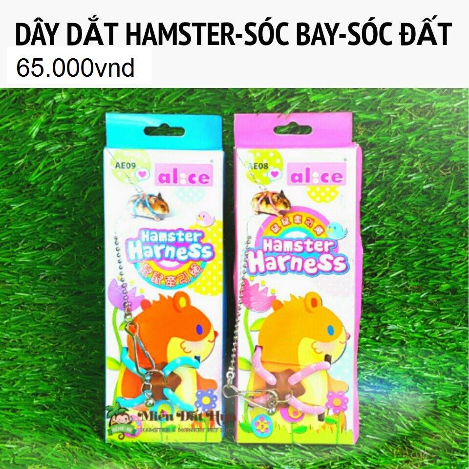 Những vật dụng cần thiết khi nuôi một bé Hamster