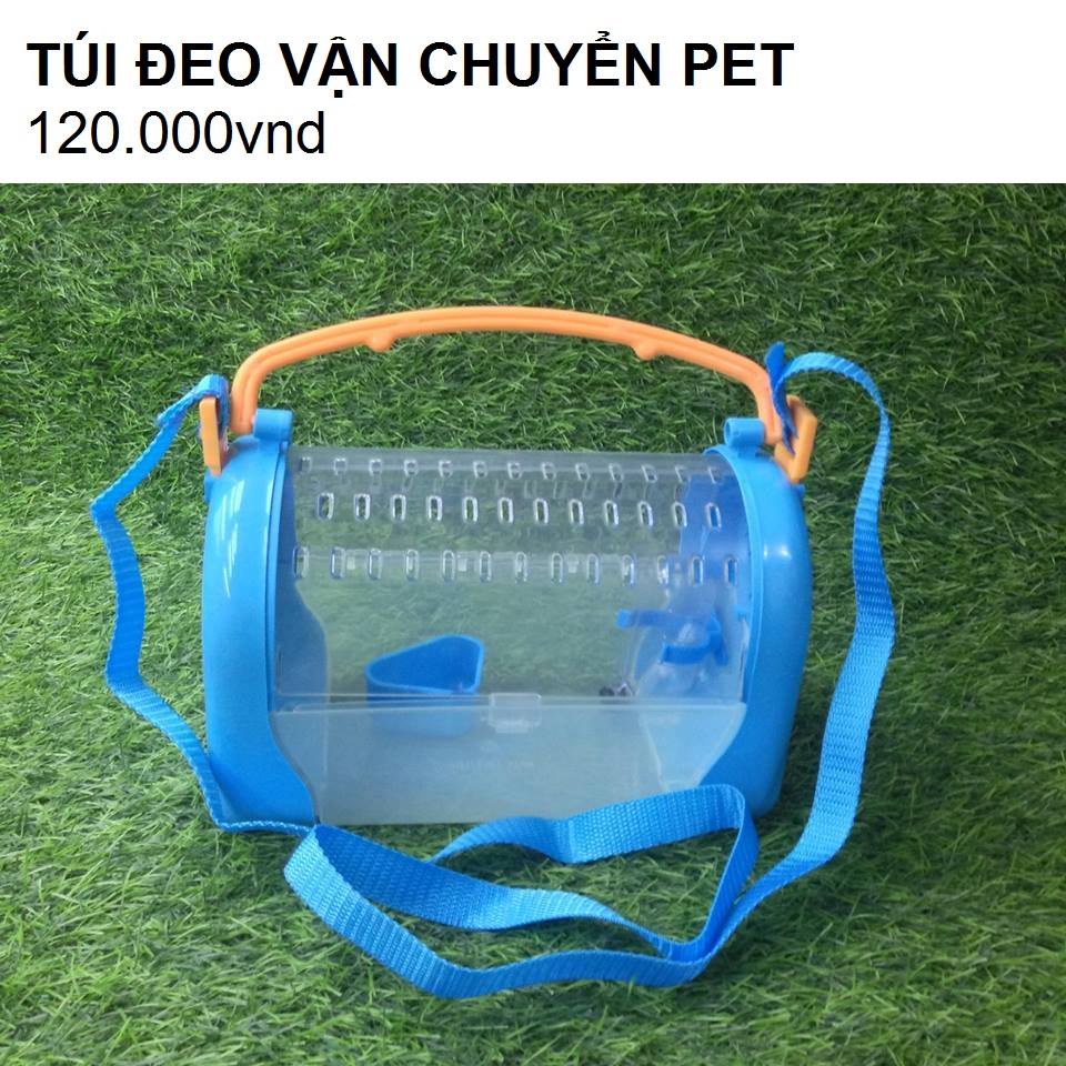 Những vật dụng cần thiết khi nuôi một bé Hamster