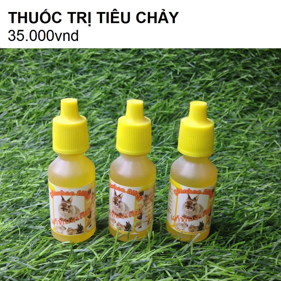 Những vật dụng cần thiết khi nuôi một bé Hamster