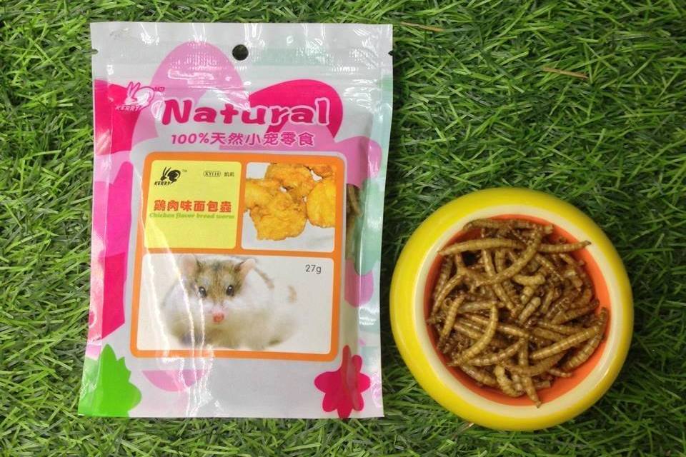 Những vật dụng cần thiết khi nuôi một bé Hamster