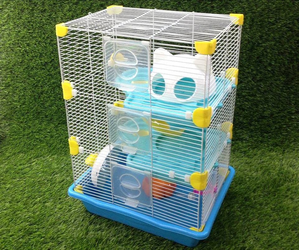 Những vật dụng cần thiết khi nuôi một bé Hamster