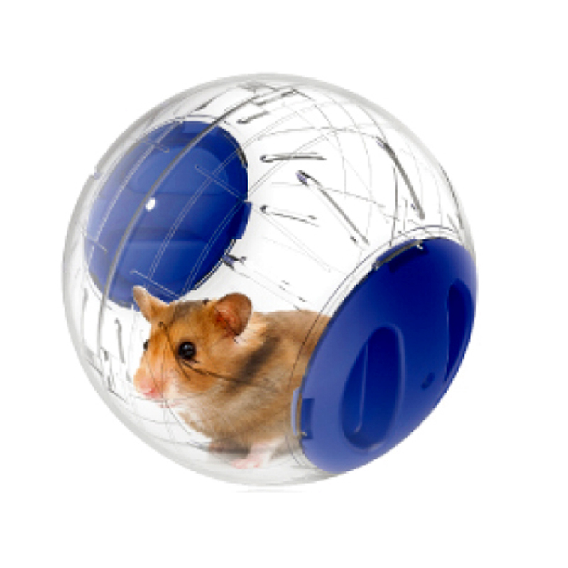 Những vật dụng cần thiết khi nuôi một bé Hamster