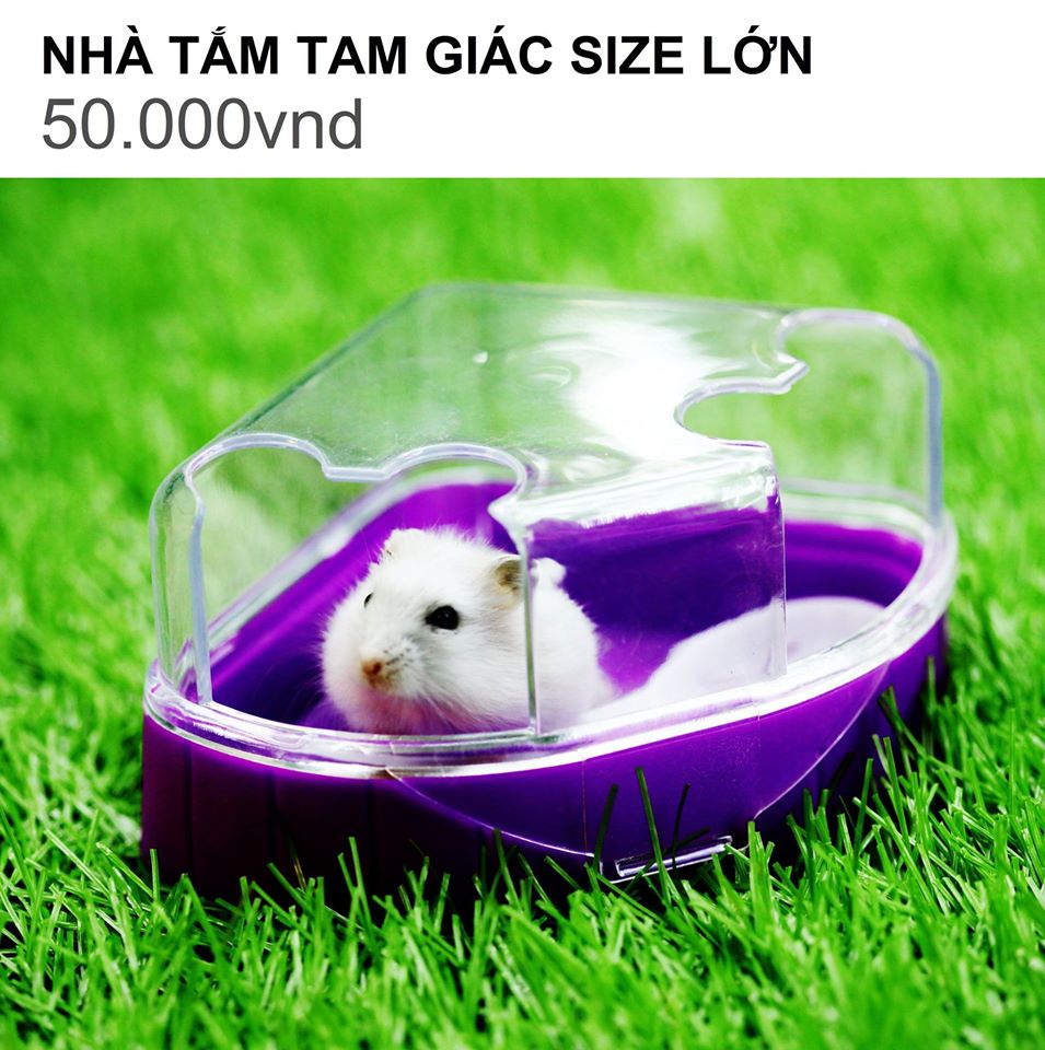 NHÀ TẮM TAM GIÁC SIZE LỚN