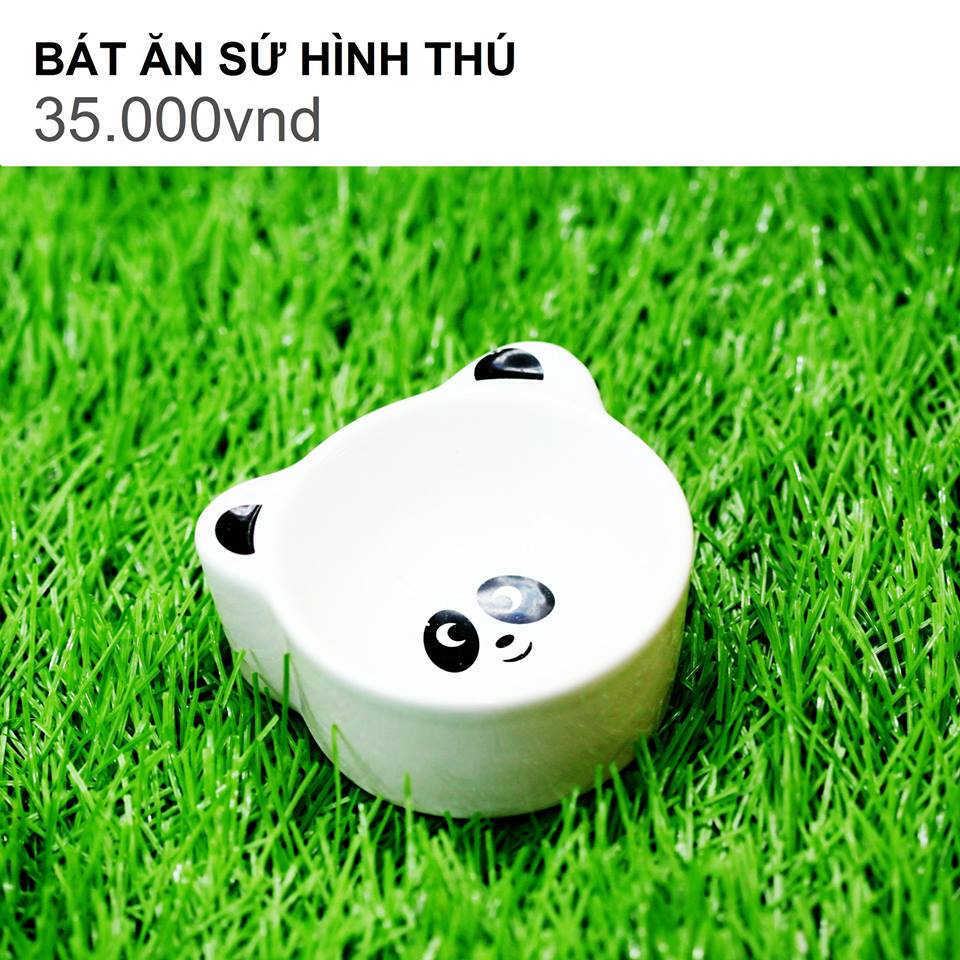 BÁT ĂN SỨ HÍNH CON ẾCH