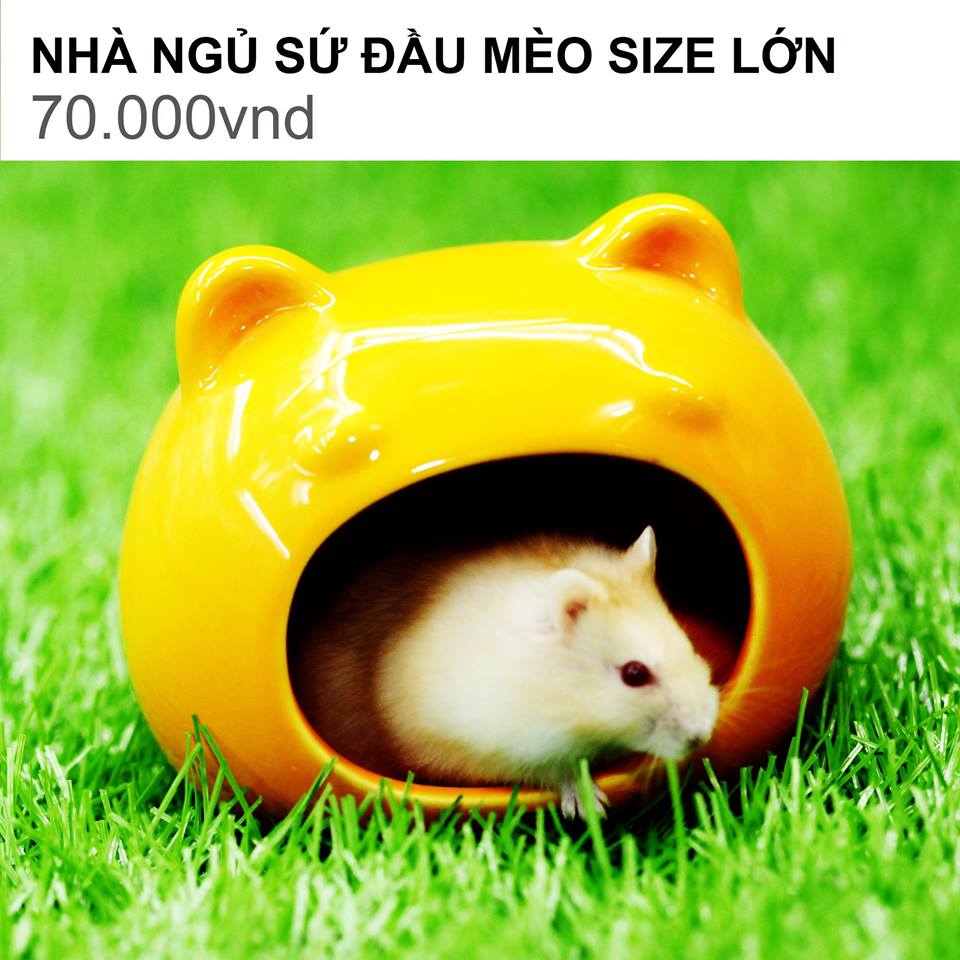 NHÀ NGỦ SỨ ĐẦU MÈO SIZE LỚN