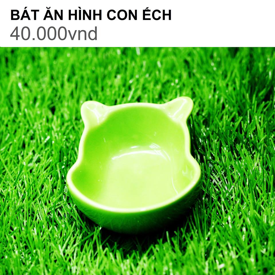 BÁT ĂN HÌNH CON ẾCH