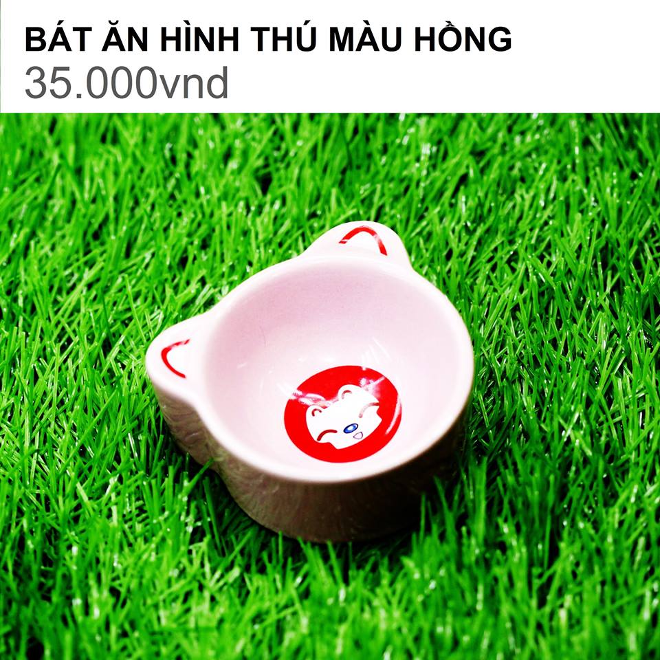 BÁT ĂN SỨ HÍNH CON ẾCH