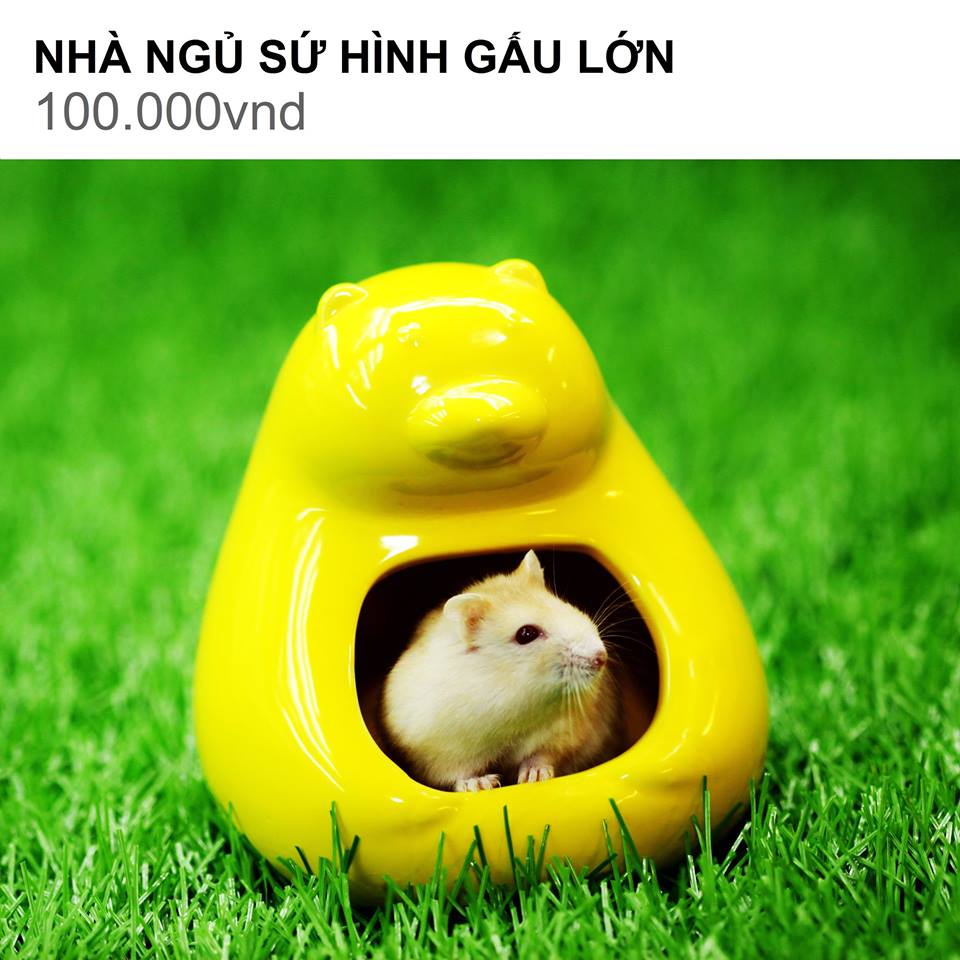 NHÀ NGỦ SỨ HÌNH GẤU LỚN