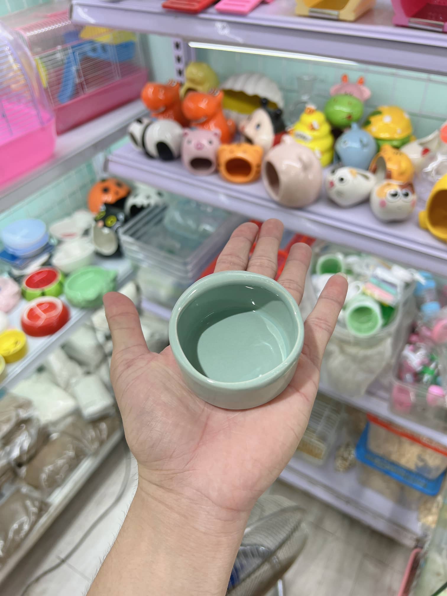 Bát ăn vòm nhỏ