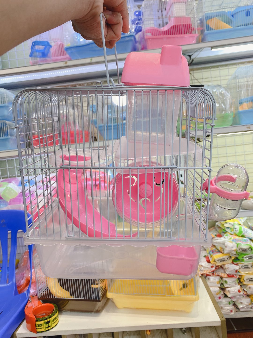Lồng tiểu hoàng tử trong suốt
