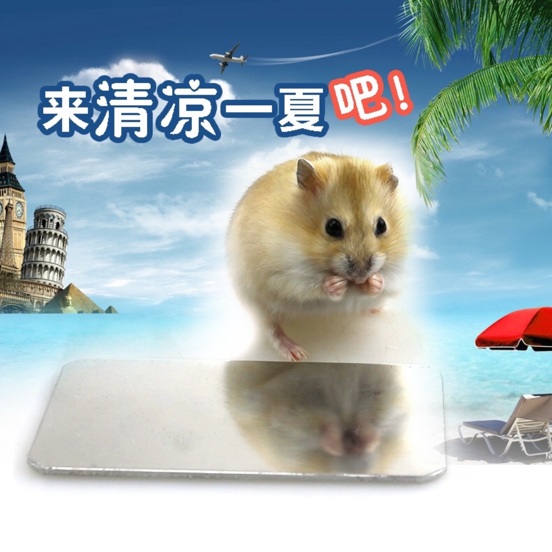 TẤM NGỦ LẠNH 8x12CM CHO HAMSTER