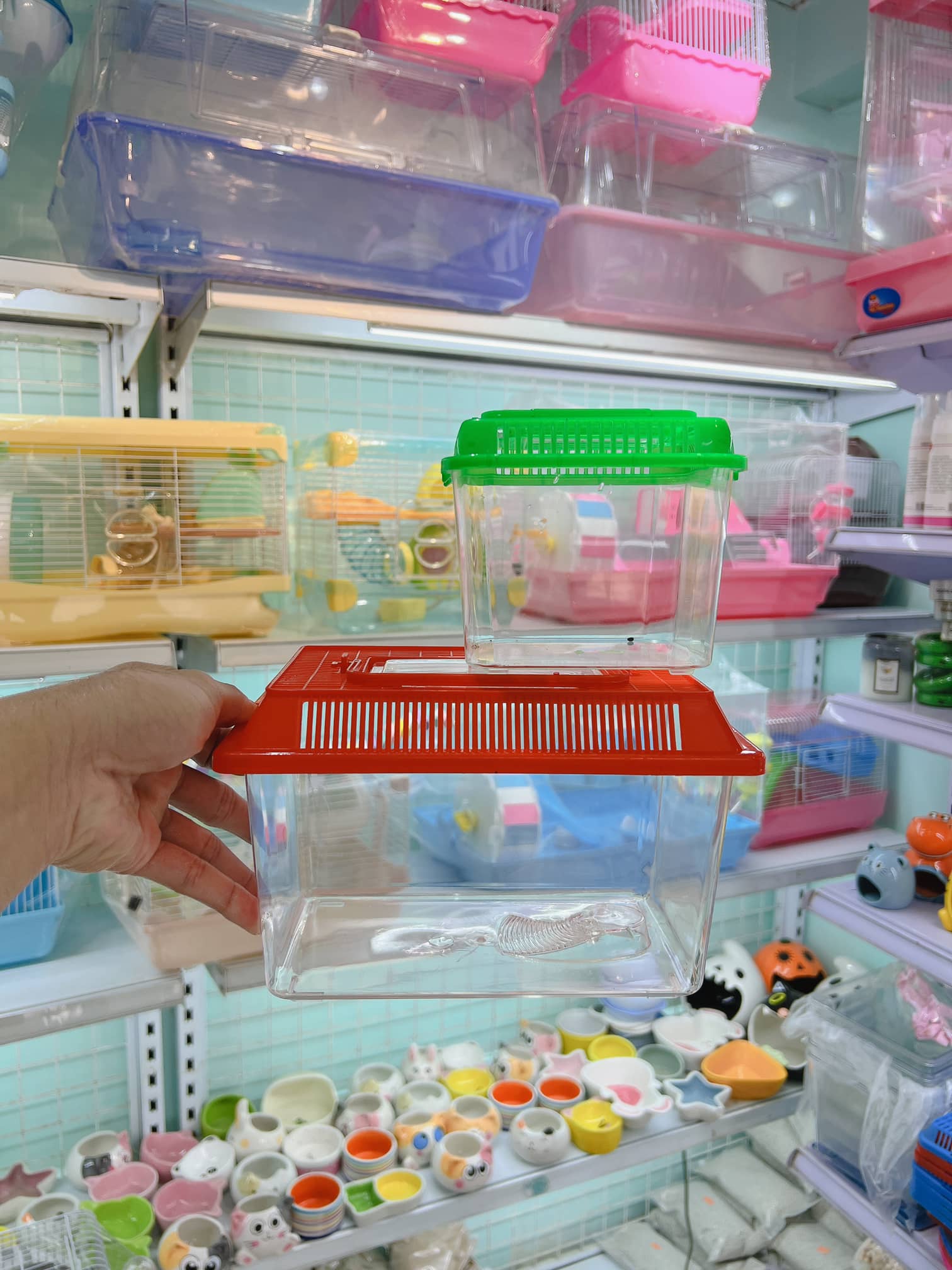 Hộp xách tay mica size trung cho hamster