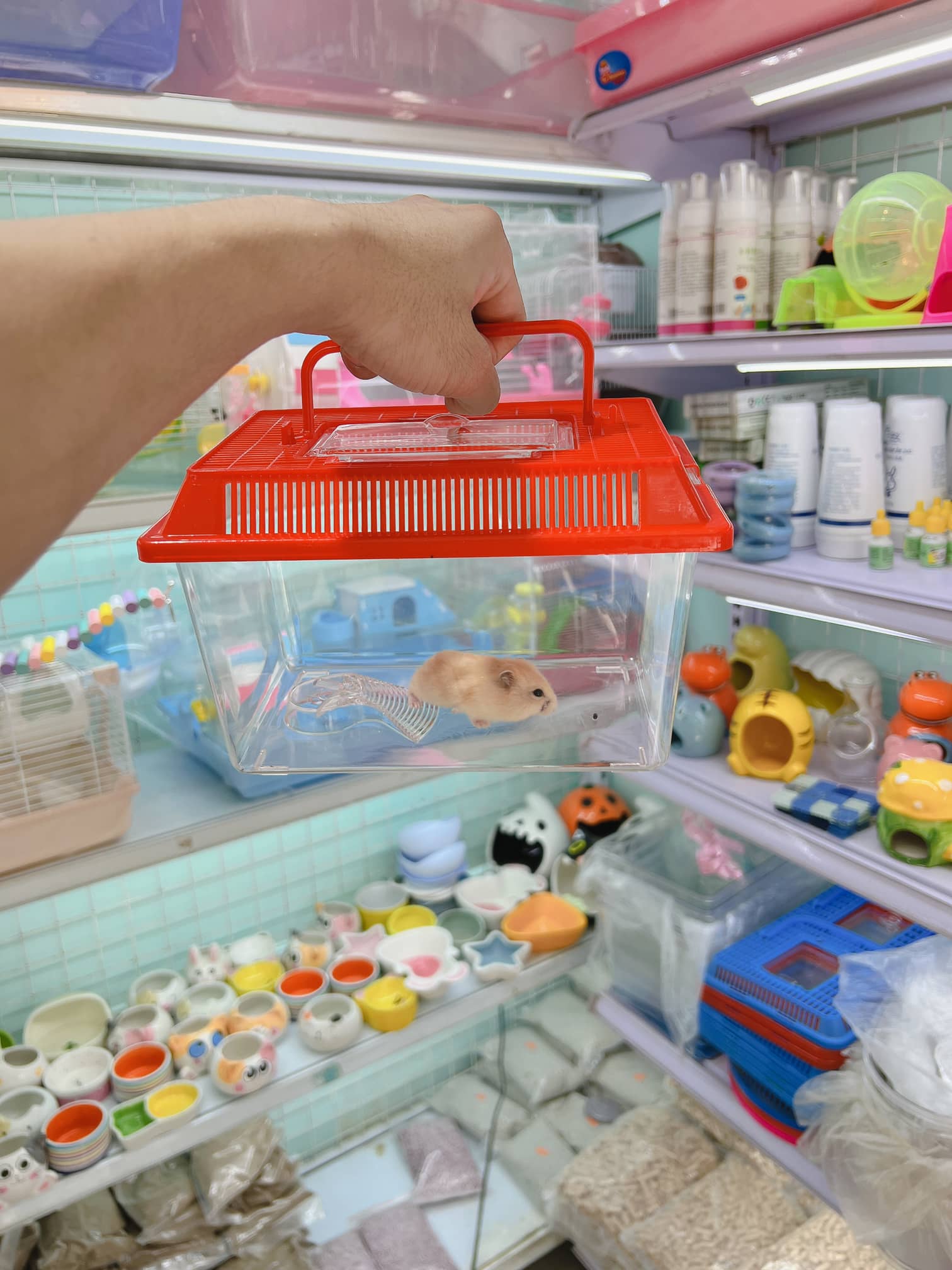 Hộp xách tay mica size trung cho hamster