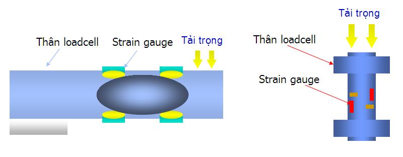 Load Cell là gì? Nguyên lý hoạt động của Load Cell