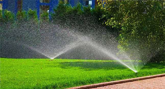 Vì sao nên lắp đặt hệ thống tưới cảnh quan cho sân vườn