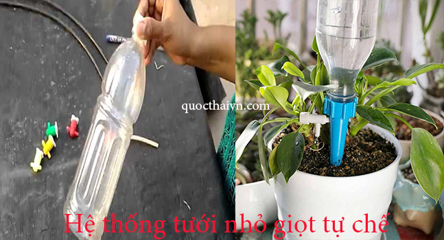 Hệ thống tưới nước nhỏ giọt và những điều bạn cần biết