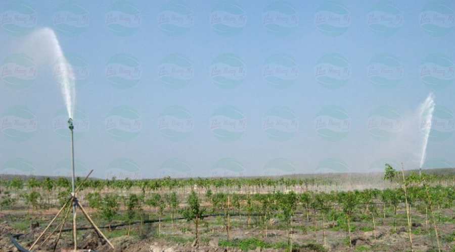 Nông dân chế hệ thống tưới tự động, tiến sỹ im tiếng