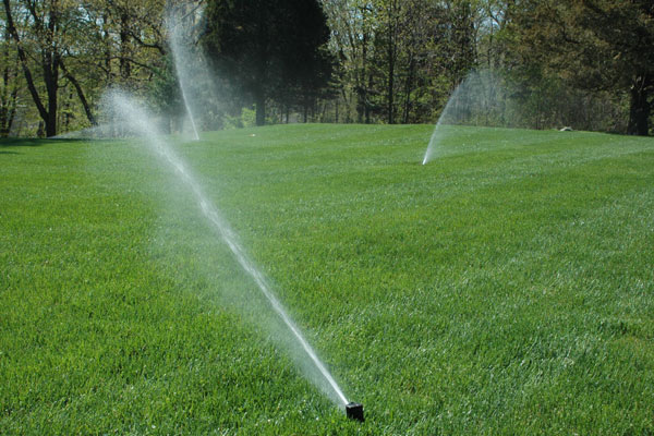 Hệ thống tưới tự động