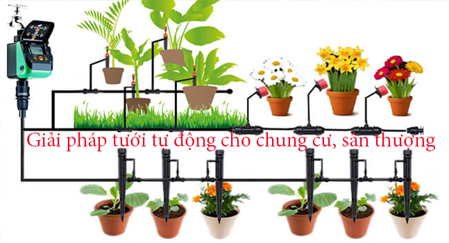 Giải pháp tưới tự động cho chung cư, sân thượng tốt nhất hiện nay