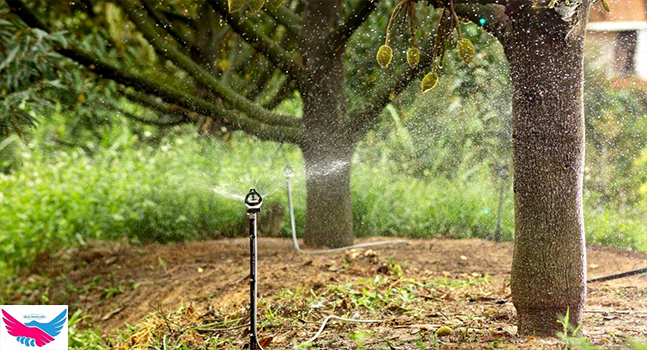 Địa chỉ mua béc tưới phun mưa uy tín, chất lượng nhất hiện nay