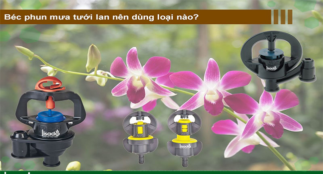 Bí quyết chọn béc tưới lan từ các chuyên gia có kinh nghiệm trồng lan lâu năm