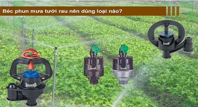 Béc tưới rau màu- giải pháp hiệu quả nâng cao năng suất rau màu
