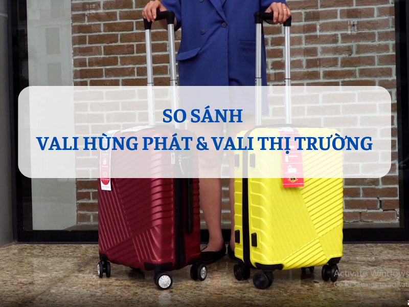 VALI HÙNG PHÁT VÀ VALI THỊ TRƯỜNG CÓ GÌ KHÁC BIỆT