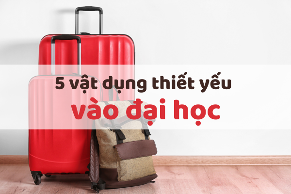 Top 5 hành trang thiết yếu vào đại học sinh viên cần có