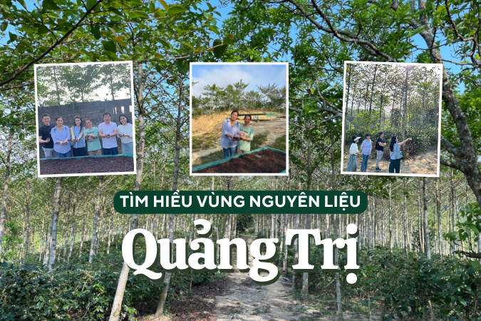 Hành trình tìm hiểu vùng nguyên liệu Quảng Trị - tiềm năng cà phê nơi vùng đất anh hùng