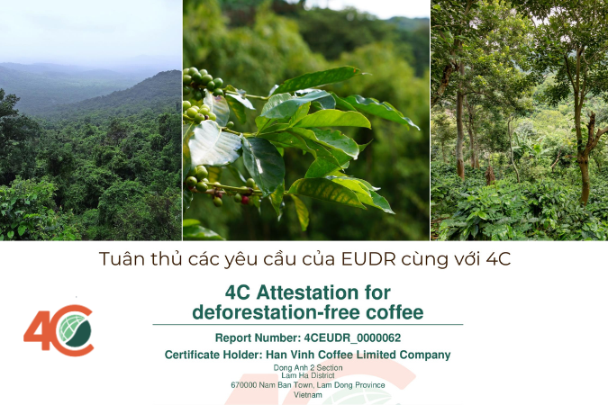 Chứng nhận 4C - Công ty TNHH Cà phê Hân Vinh sẵn sàng đáp ứng & tham gia vào xu hướng phát triển bền vững