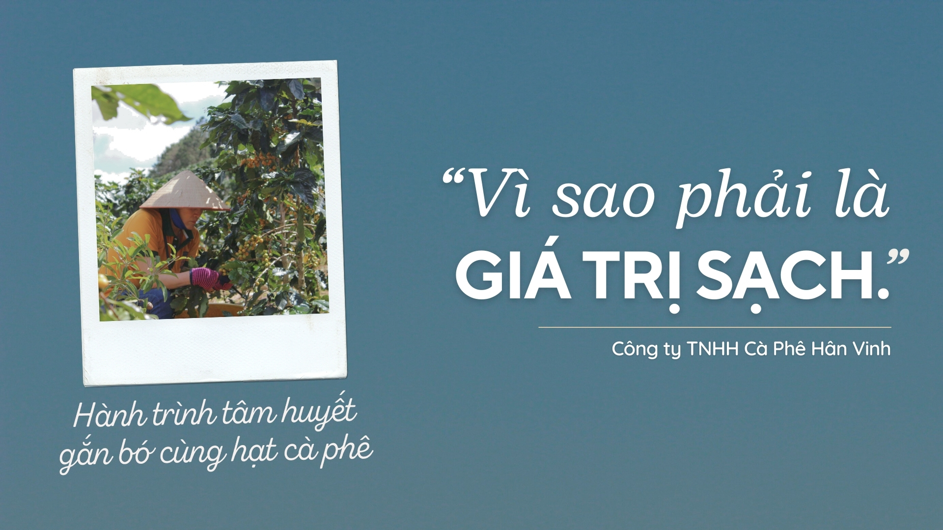 Vì sao phải là “giá trị sạch”?