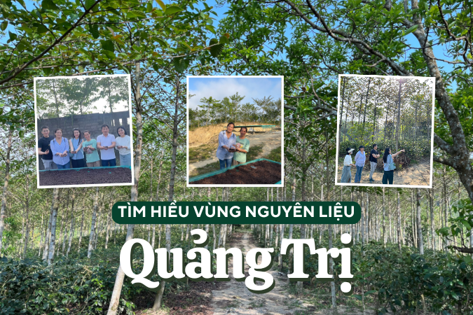 Quảng Trị, Việt Nam