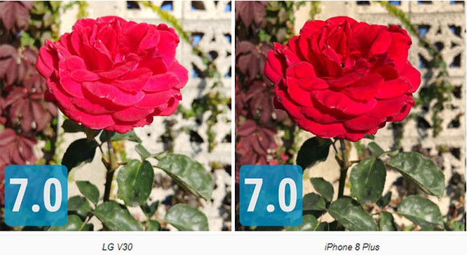 So sánh camera của LG V30, iPhone 8 Plus, Samsung Note 8 và HTC U11- Ảnh: Phonearena